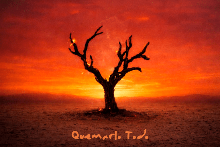 Quemarlo Todo Banner web